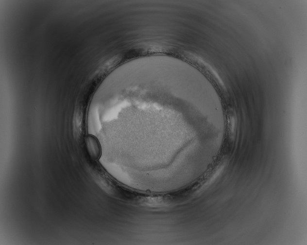 X0000086770406200705111739