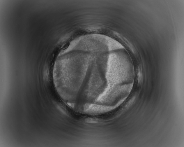 X0000086770408200705111739
