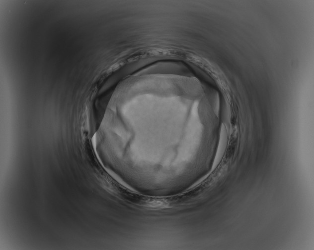 X0000086770409200705111739