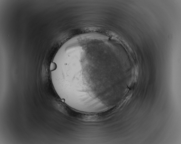 X0000086770410200705111739