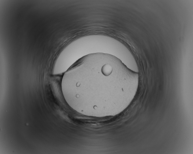 X0000086770411200705111739