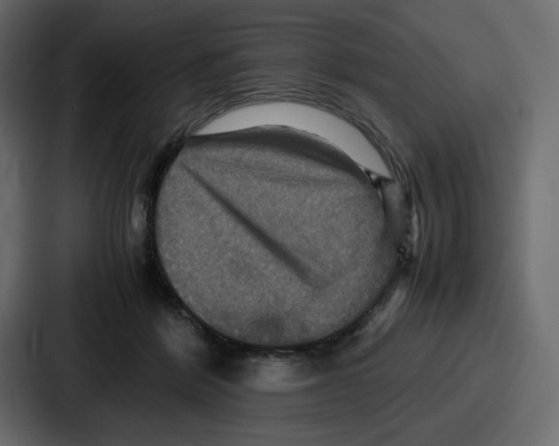 X0000086770412200705111739