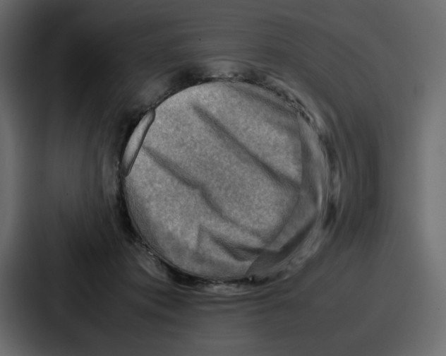 X0000086770413200705111739