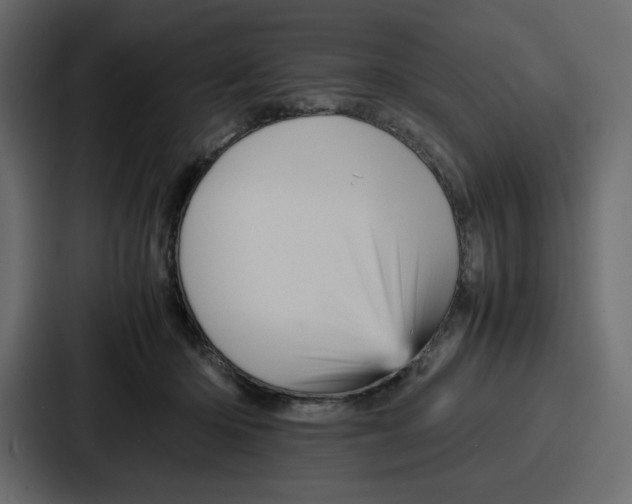 X0000086770414200705111739
