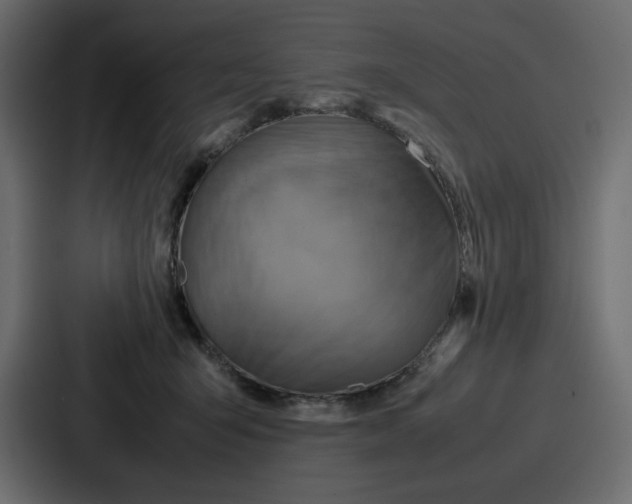 X0000086770415200705111739