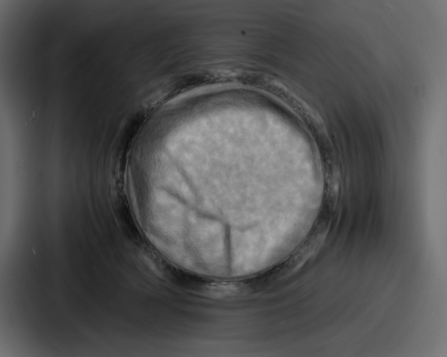 X0000086770418200705111739