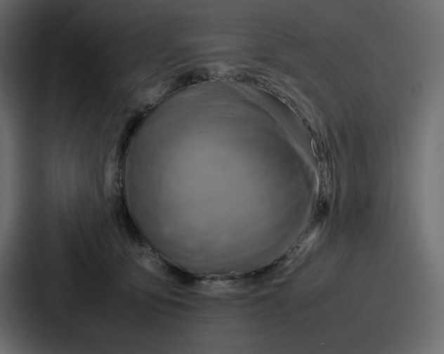 X0000086770419200705111739