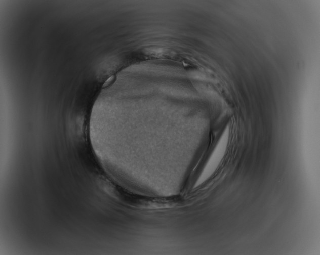 X0000086770420200705111739