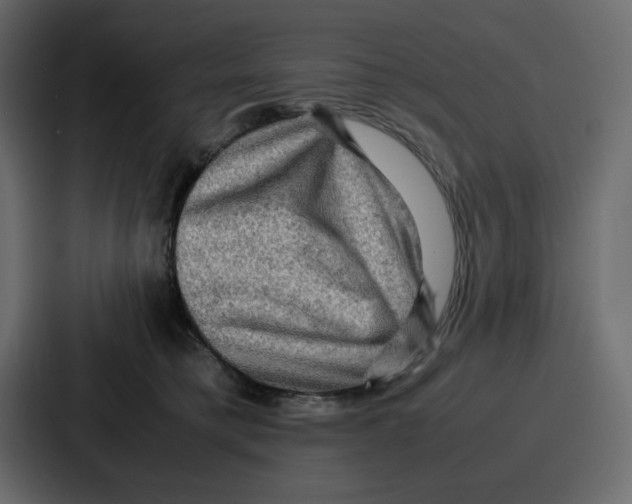 X0000086770421200705111739