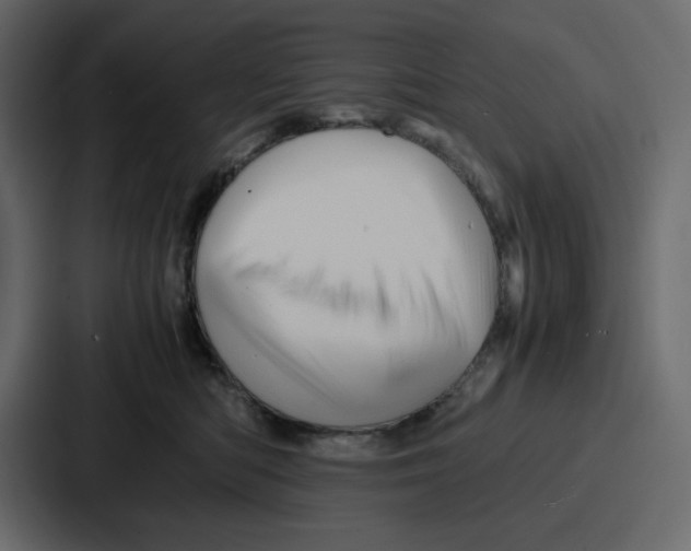 X0000086770422200705111739