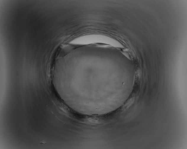 X0000086770423200705111739