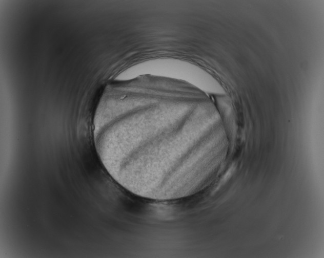 X0000086770425200705111739