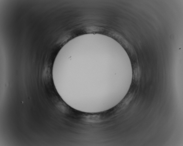 X0000086770426200705111739
