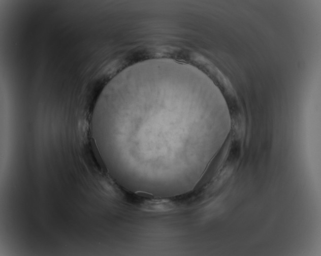 X0000086770427200705111739