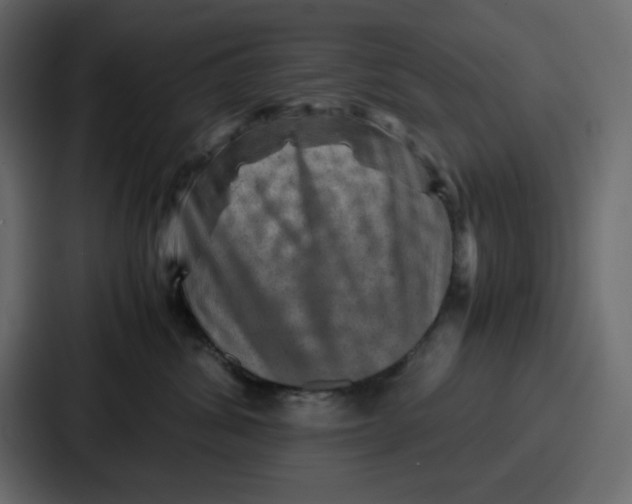 X0000086770428200705111739