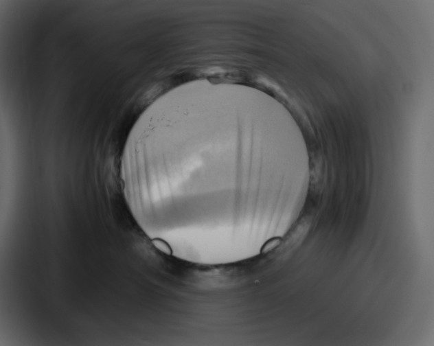 X0000086770430200705111739