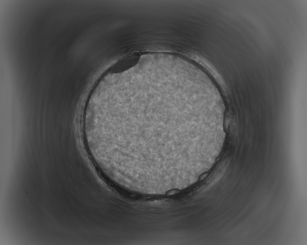 X0000086770433200705111738