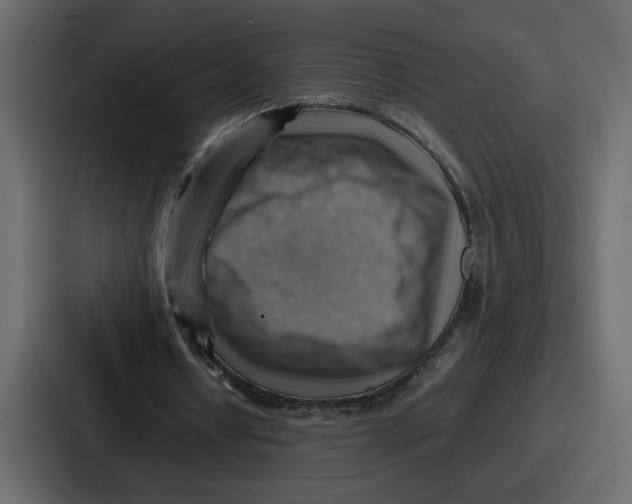 X0000086770434200705111738