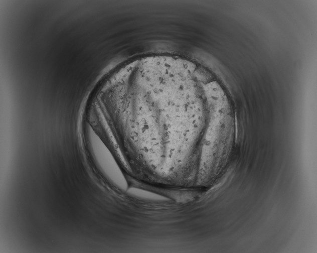 X0000086770435200705111738