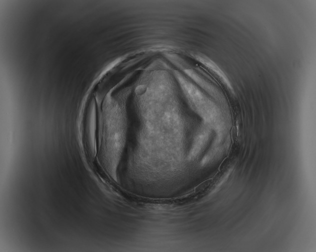 X0000086770436200705111738