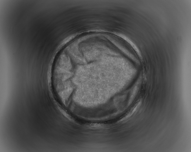 X0000086770437200705111738