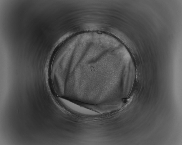 X0000086770438200705111738