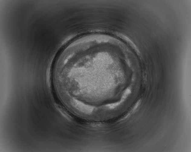 X0000086770439200705111738