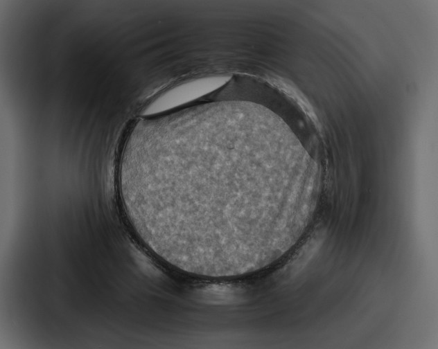 X0000086770441200705111738