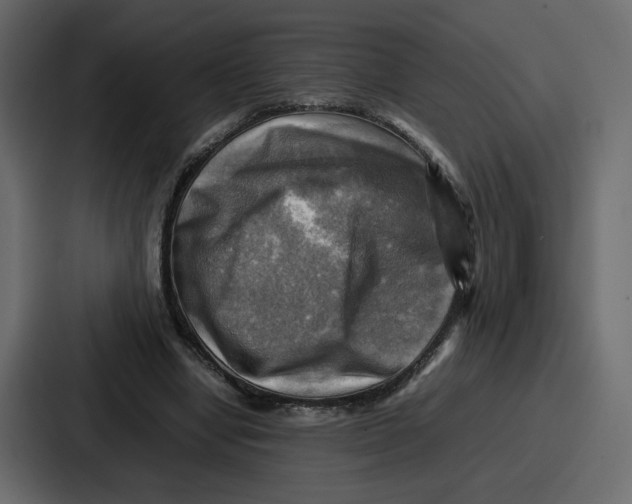X0000086770442200705111738