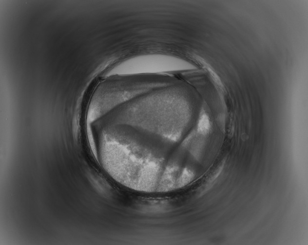 X0000086770443200705111738