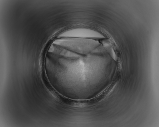X0000086770444200705111738