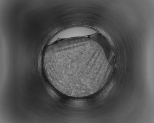 X0000086770445200705111738
