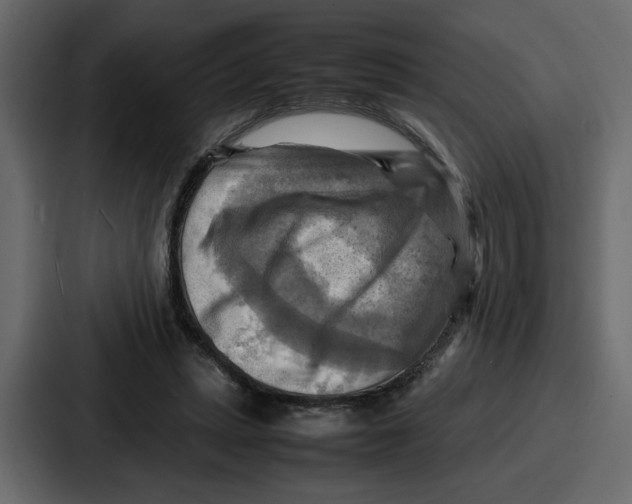 X0000086770447200705111738