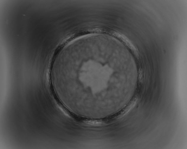 X0000086770449200705111738
