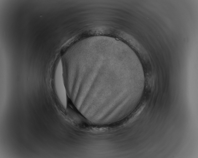 X0000086770450200705111738