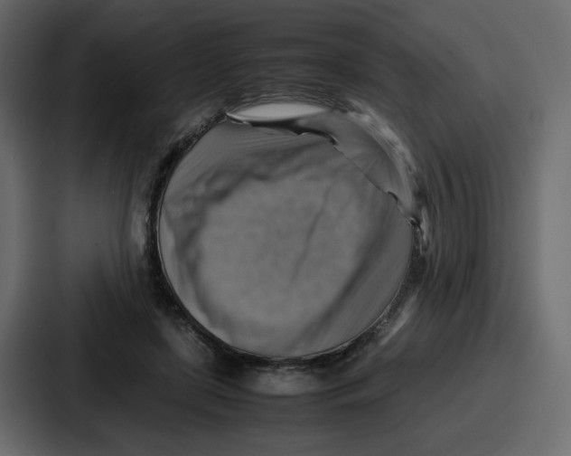 X0000086770451200705111738