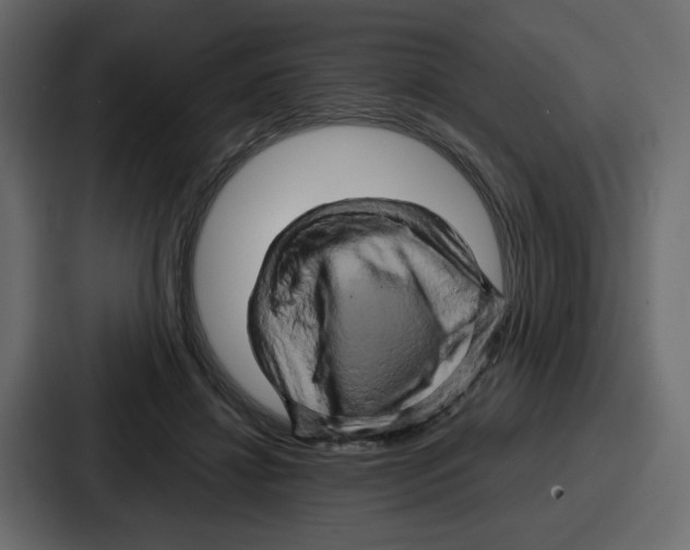X0000086770452200705111738