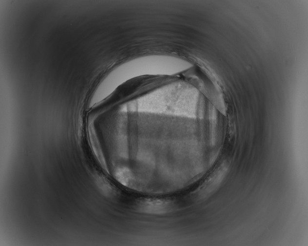 X0000086770453200705111738