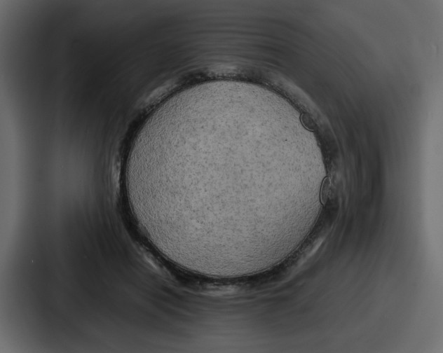 X0000086770454200705111738
