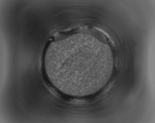 X0000086770455200705111738