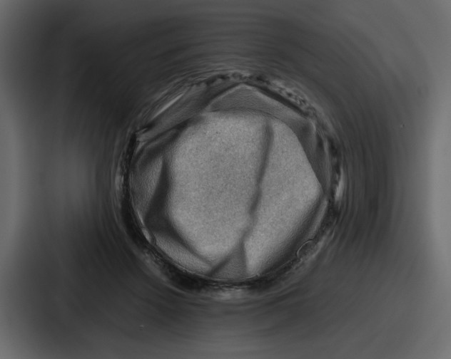 X0000086770456200705111738
