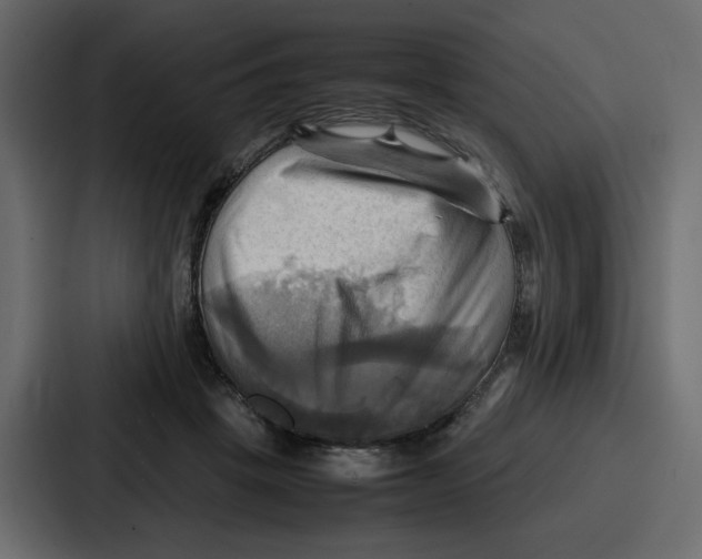 X0000086770457200705111738