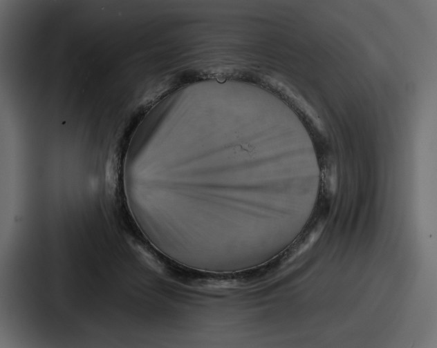 X0000086770458200705111738