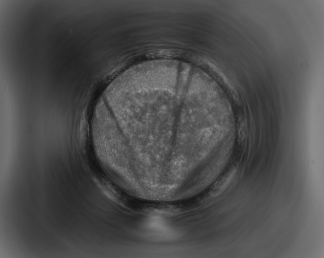 X0000086770459200705111738