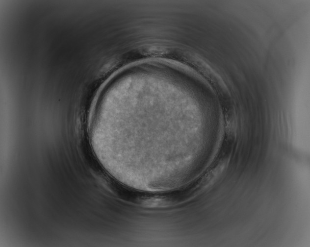 X0000086770460200705111738