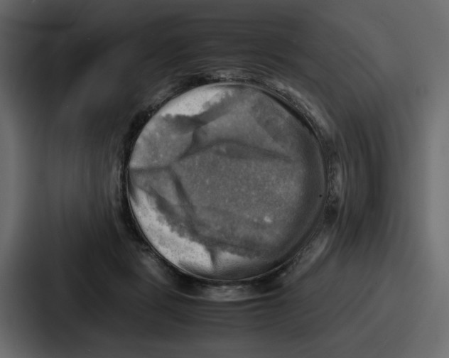 X0000086770461200705111738