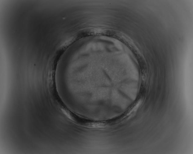 X0000086770462200705111738
