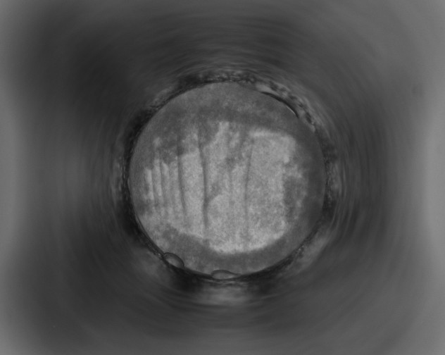 X0000086770463200705111738