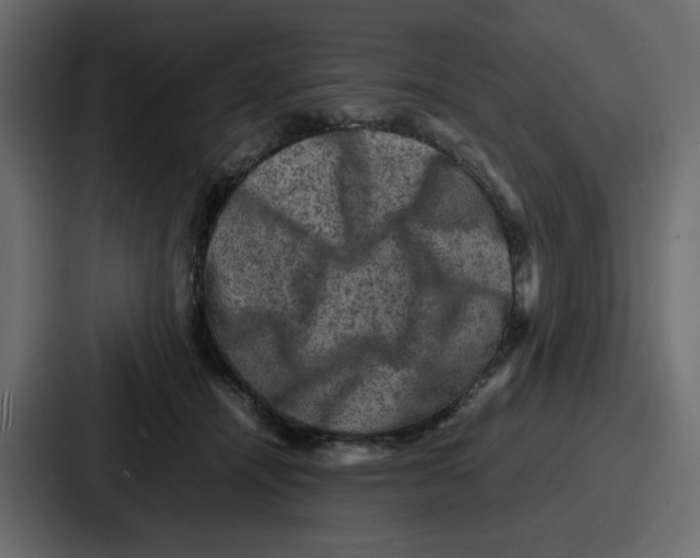 X0000086770464200705111738
