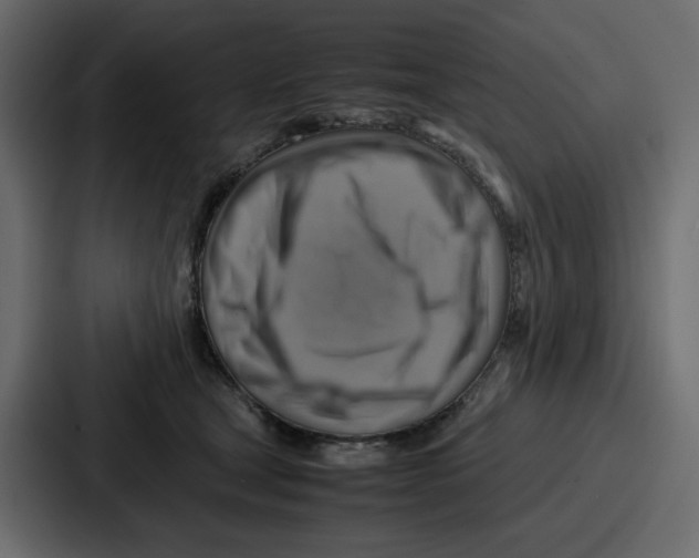 X0000086770465200705111738